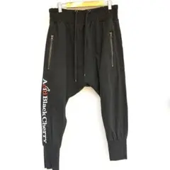 AcidBlackCherry セットアップ サルエルのみ