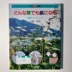 いのまたむつみ先生 サイン入り 画集 風の大陸 帯付き 初版 - メルカリ