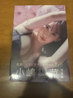 小嶋陽菜 タレント写真集