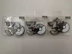 30th マグネット 中国ポケモンセンター限定 ウーラオス - メルカリ