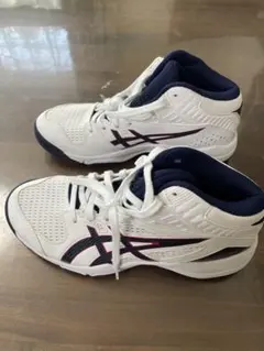 AsicsDunkshot バスケットシューズ 21.5