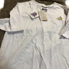 Item thumbnail for item 05e491db-4ec5-45c0-aeec-c16a917831ad