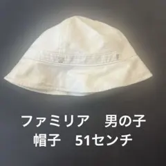 Item thumbnail for item 29399f4a-d132-4933-96e1-37b6677bb28b