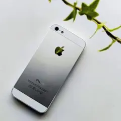 Apple iPhone 5 ホワイト&シルバー 32GB 本体