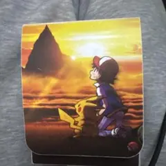 ポケットモンスター　ボックス