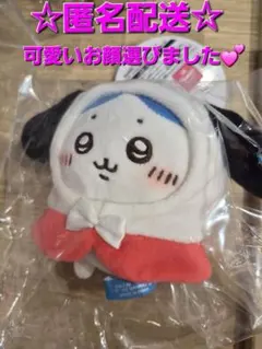 ちいかわ×サンリオ☆ポチャッコ×ハチワレ☆ぷちミニフードマスコット