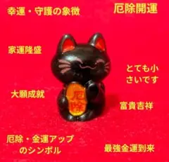 【ラストー‼️】小さな幸運守護の象徴✨️風水厄除黒猫招猫⭐️最強金運到来↑