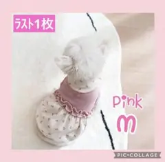 犬服m ピンク　花柄ワンピース　可愛い春服