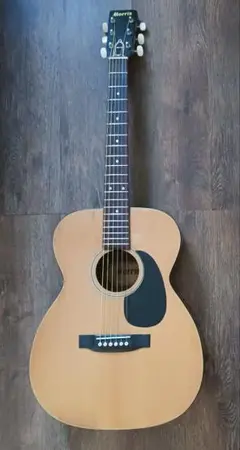 2026年最新】morris MF-306の人気アイテム - メルカリ