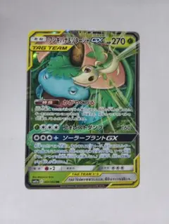 フシギバナ＆ツタージャGX RR SM11a リミックスバウト 001/064