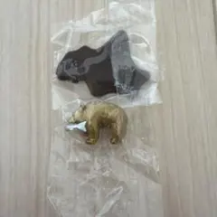 北海道限定 木彫り熊VS木彫り鮭 黄金の木彫り熊