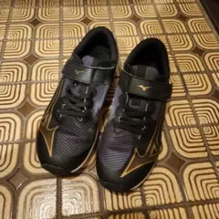 Item thumbnail for item 7bbe4230-bc73-4981-b6d1-d08309a5058a