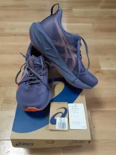 Item thumbnail for item 8e6d1825-e92b-42e2-b61a-a17ff04e3dd8