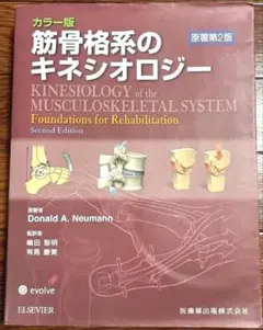 PINコード未使用 筋骨格系のキネシオロジー 原著第3版 - メルカリ
