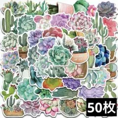 306　ステッカー　お裾分け　フレークシール　海外　防水　観葉植物　サボテン