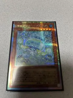 マルチャミー・プルリア　プリシク