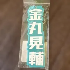 2026年最新】金丸晃輔の人気アイテム - メルカリ