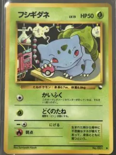 ポケモンカード 旧裏 フシギダネ ◇ 拡張シート第1弾(青版) - メルカリ