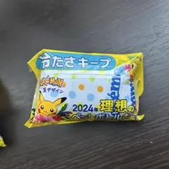 ポケモン ペットボトルカバー 2024年デザイン