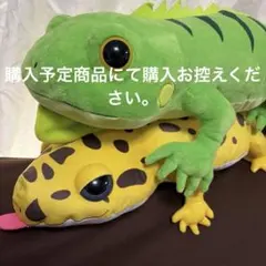 2026年最新】レオパのきいちゃんの人気アイテム - メルカリ