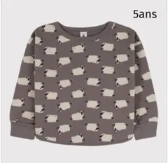 プチバトー　プルオーバー　5ans＊FITH＊ラルフローレン＊ファミリア＊べべ