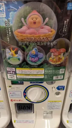 こびとづかん カプリウムコレクション ベニキノコビト
