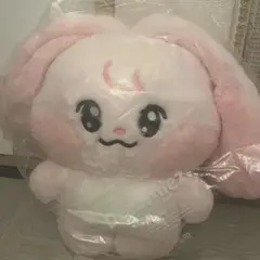 新品未使用⭐︎skzoo リービット テディ5oclock リノstraykids - メルカリ