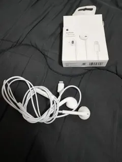 Apple EarPods with Lightning Connector