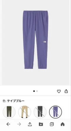 ザノースフェイス　NB42388　フレキシブルアンクルパンツ L ケイブブルー