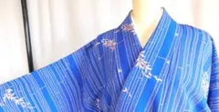 大人の夏着物単品洗える着物花吹雪青色白ブルーホワイト花びら単衣着物