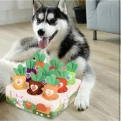 Item thumbnail for item 49248273-4b1b-4cde-8e35-c930792f2dba