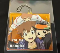 家庭教師ヒットマンREBORN! ひこくじ 特典 オーロラキーホルダー 沢田綱吉