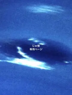 じゅ様 専用ページ