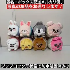 8種コンプ！　SKZOO くっつきぬいぐるみ～GiGO限定～