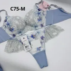 ワコール ハグするブラ BRB498シリーズ ブラジャーショーツC75M