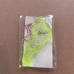 Item thumbnail for item 053d757f-8c87-4e18-953d-1ed89494b78b