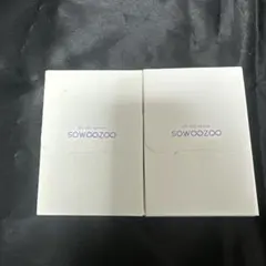 BTS SOWOOZOO MINI PHOTO CARD 2枚セット