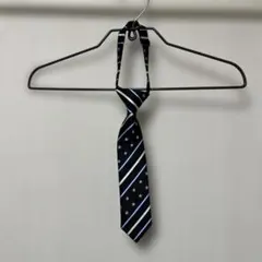 Item thumbnail for item 34b78aa9-d122-44a0-a2f7-71fd16f1d93f