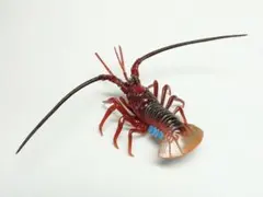 【旧版】ネイチャーテクニカラー 日本のいきもの 「イセエビ」新品未開封品