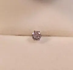 Item thumbnail for item 1d84e14f-e7ff-4371-858e-310ff38cf814