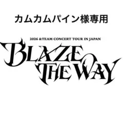 &TEAM NICHOLAS ニコラス BLAZE ポプア トレカ セミコンプ
