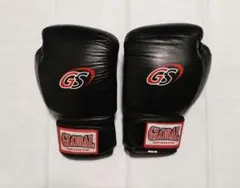 Item thumbnail for item 661bdaa3-a0c0-40b3-a325-bdcd5dd9a672