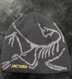ARC'TERYX スケルトンデザイン ビーニー - メルカリ