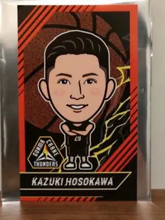 群馬クレインサンダーズ 細川一輝 ステッカー