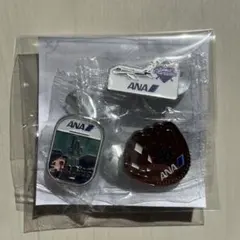 2026年最新】ana ピンバッチの人気アイテム - メルカリ