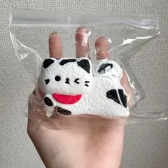 ✨マフラーねこちゃん スクイーズ✨