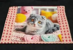 riri様 リクエスト 2点 まとめ商品