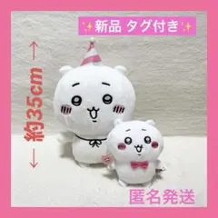 Item thumbnail for item 1926b0ba-e7eb-48f1-80b0-98f79f73a6e2