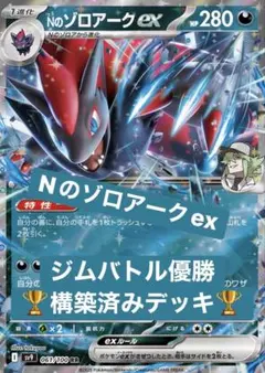 専用！CL愛知 マスターリーグ準優勝 Nのゾロアークex ほぼ 構築済み