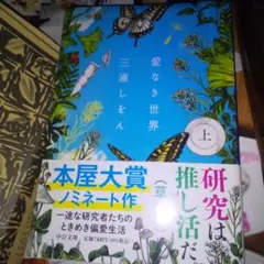 Item thumbnail for item a802f372-b28c-4147-95aa-c79558356b92